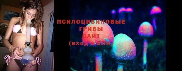 синтетический гашиш Гусиноозёрск