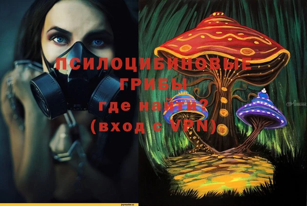 синтетический гашиш Гусиноозёрск