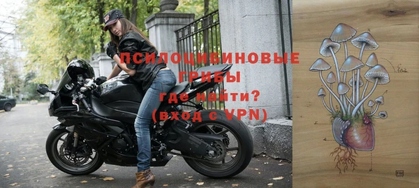 эйфоретик Гусев