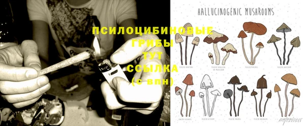 2c-b Гусь-Хрустальный